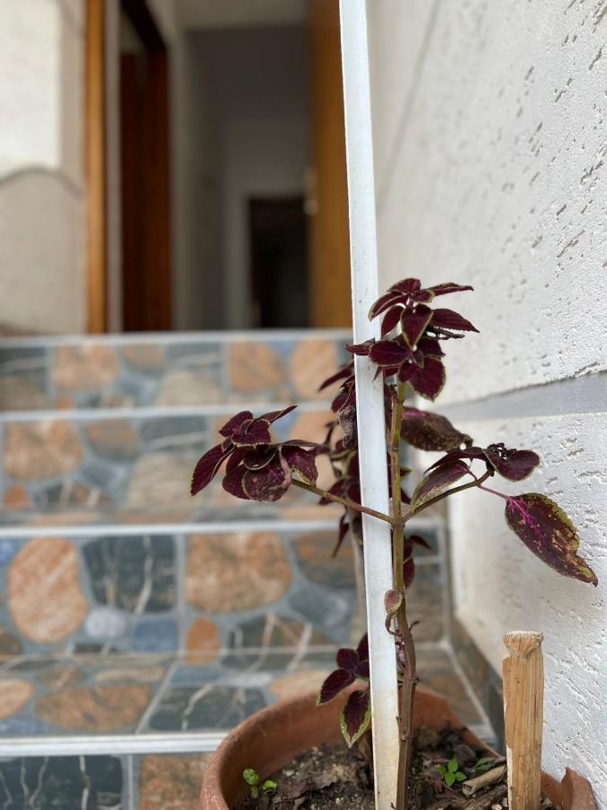Alex Apartments Саранде Екстериор снимка
