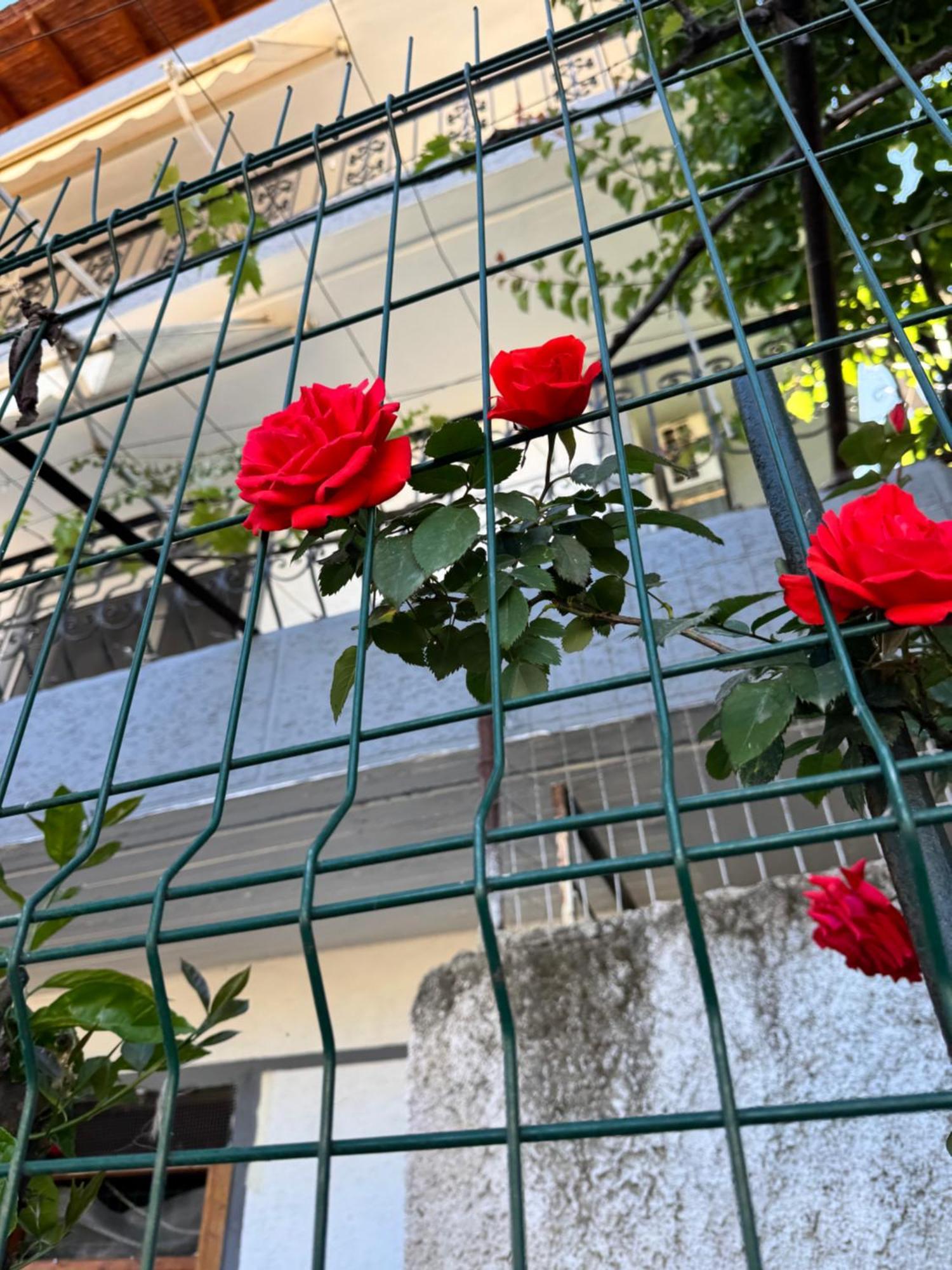 Alex Apartments Саранде Екстериор снимка
